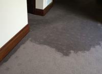 Flood Water Damage Restoration Brisbane image 1